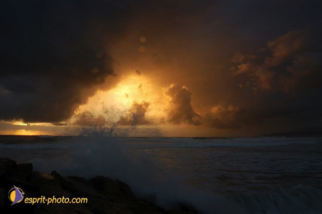 Nom de l'image : EP08-0346_(c)Norbert-JUNG — Description :